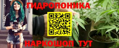 круглые Гусев