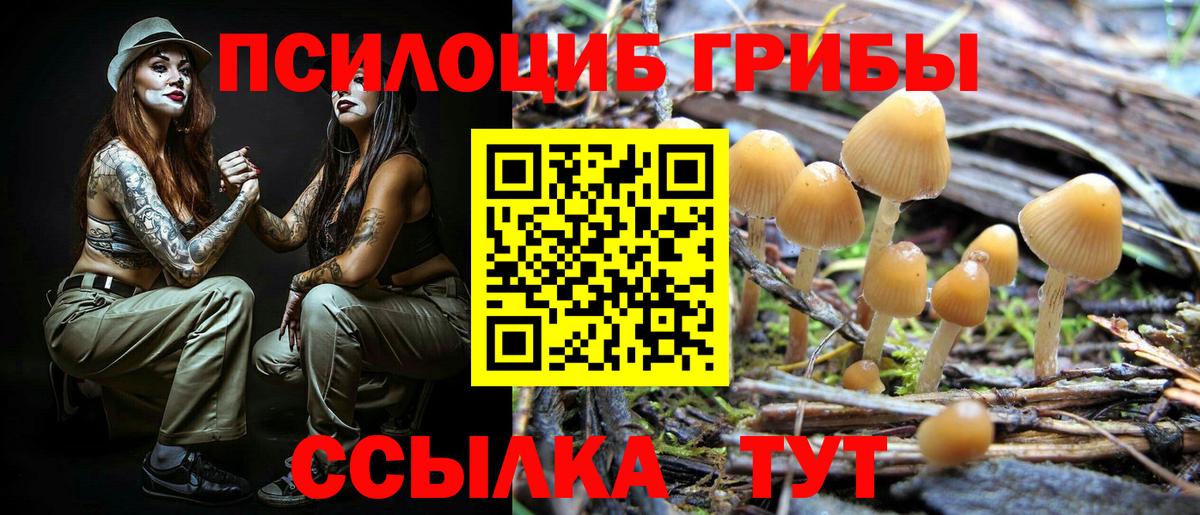 Псилоцибиновые грибы мицелий Мирный