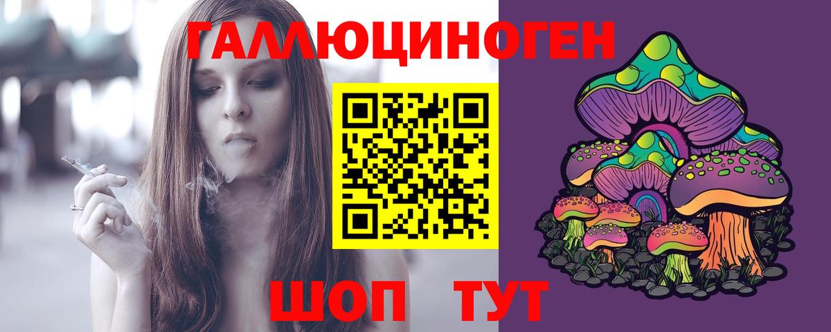 Мирный  Псилоцибиновые грибы Psilocybine cubensis  Вход с VPN 